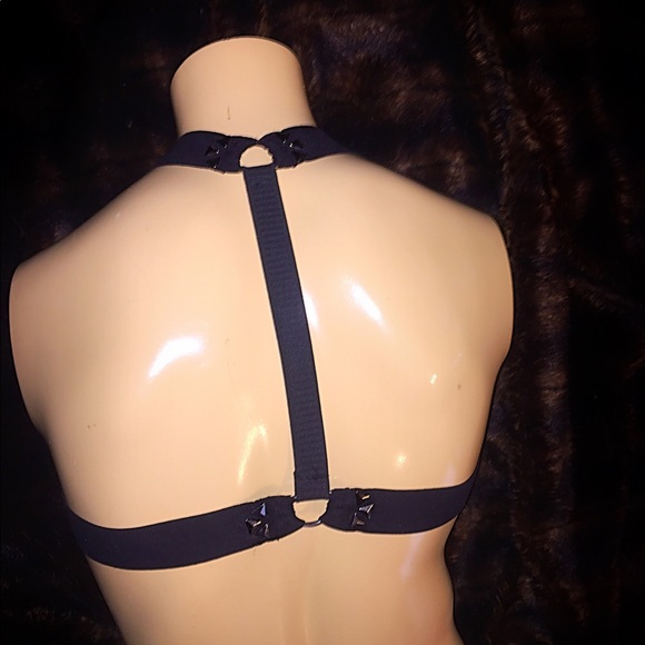 Harness - Picture 2 of 3